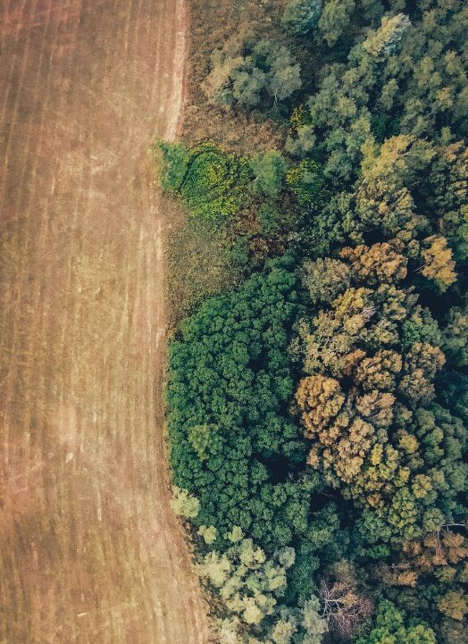 POLITIQUE ENVIRONNEMENTALE